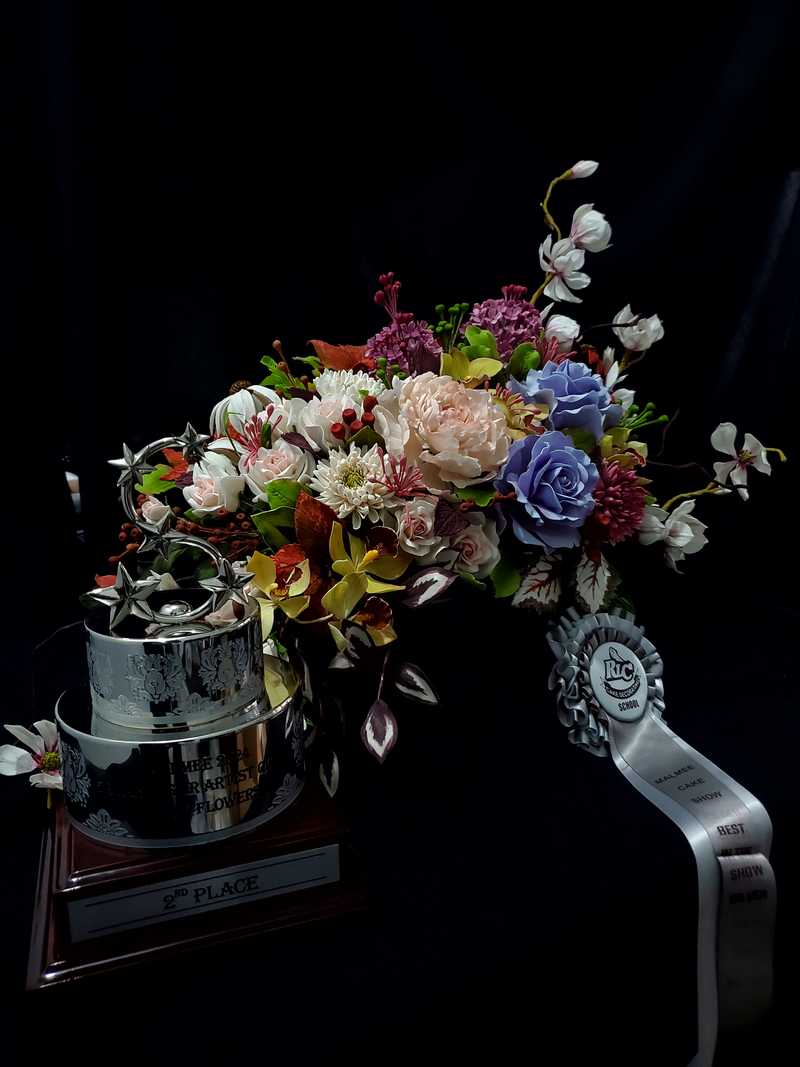 MALMEE CAKE SHOW - malmee9